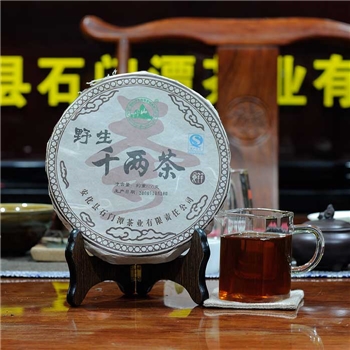 石峰山野生千两茶2008年 茶饼600克